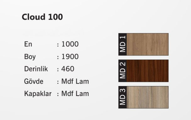 Cloud 100